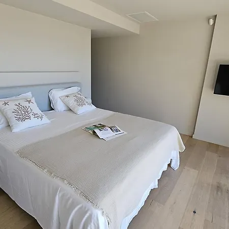 Βίλα De Maitre Avec Piscine Privee Pour 14 Personnes, Climatisation Et Animaux Admis - Fr-1-768-62